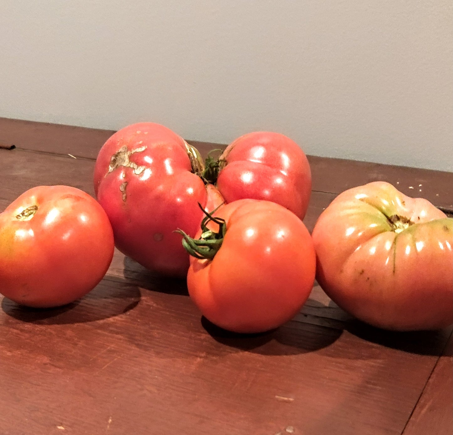 Tomatoes