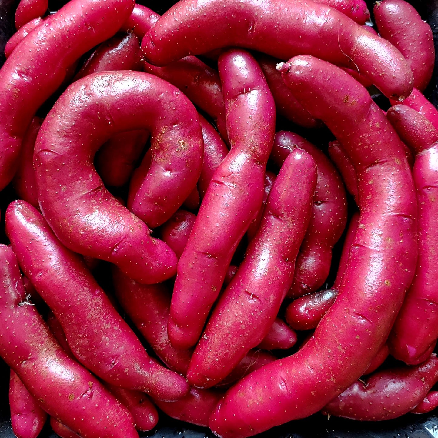 Papa Cacho Potatoes