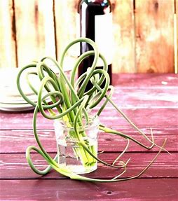 Garlic Scapes