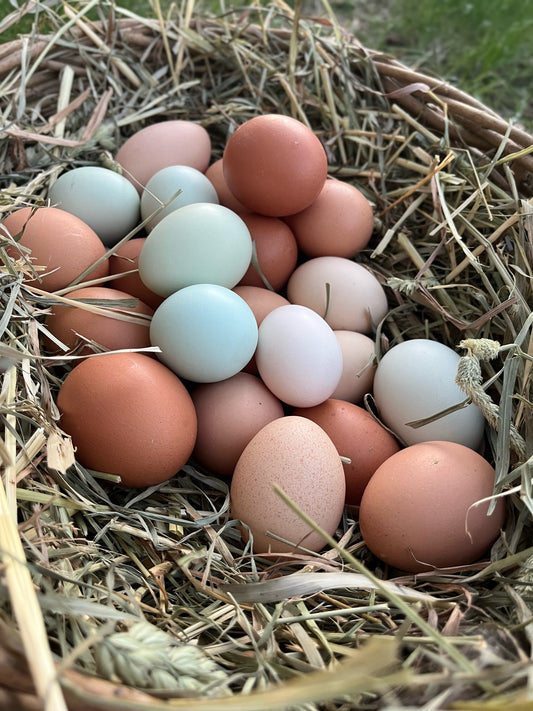 Chicken Eggs
