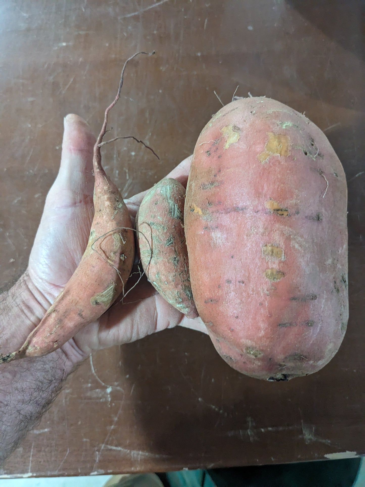 B Grade Sweet Potatoes